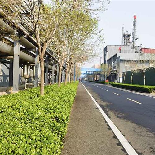 廠區道(dào)路